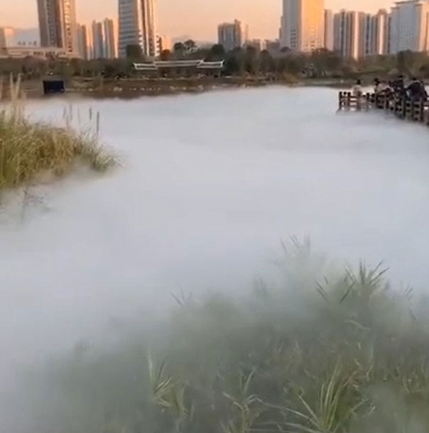霧森冷霧設(shè)備  